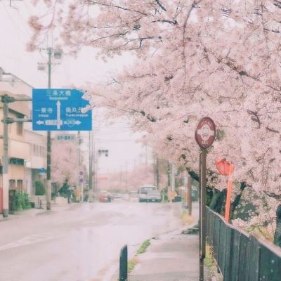 九游西游冒险手游下载