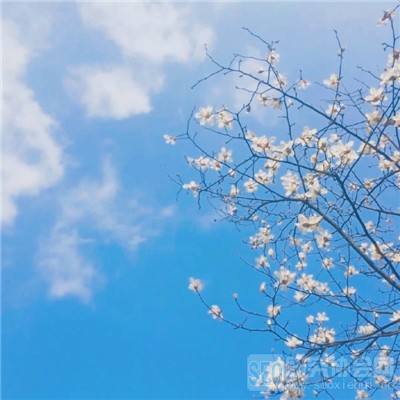 仙途逍遥手游下载